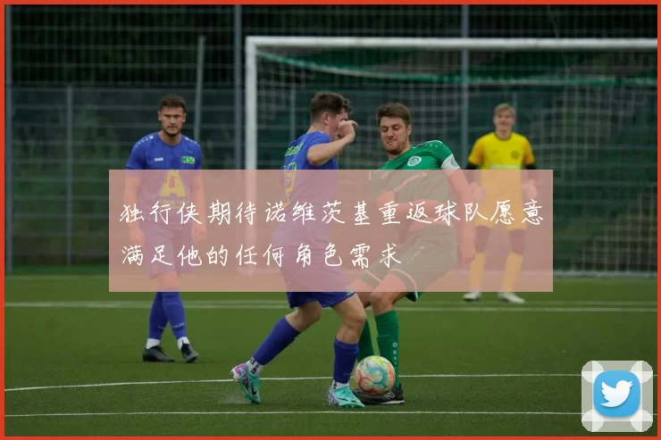 独行侠期待诺维茨基重返球队愿意满足他的任何角色需求